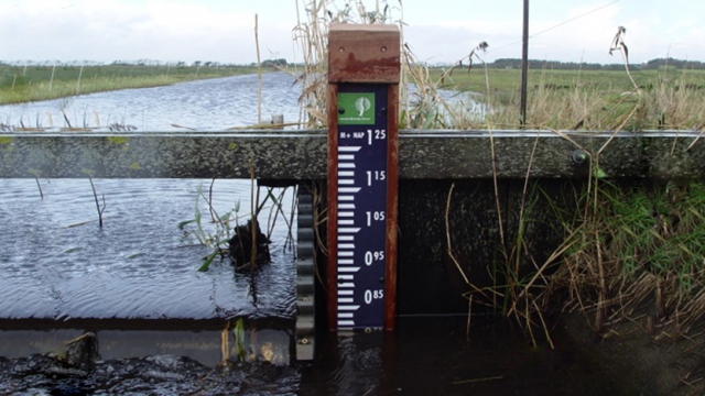Maatwerk Emaille Peilschalen